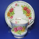 Queen's Rosina January Teacup