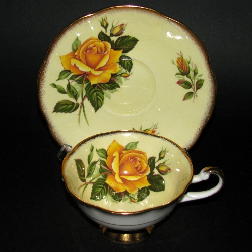 Rosina English Roses Teacup and Saucer